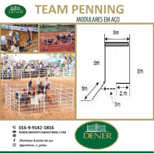 Team penning curral